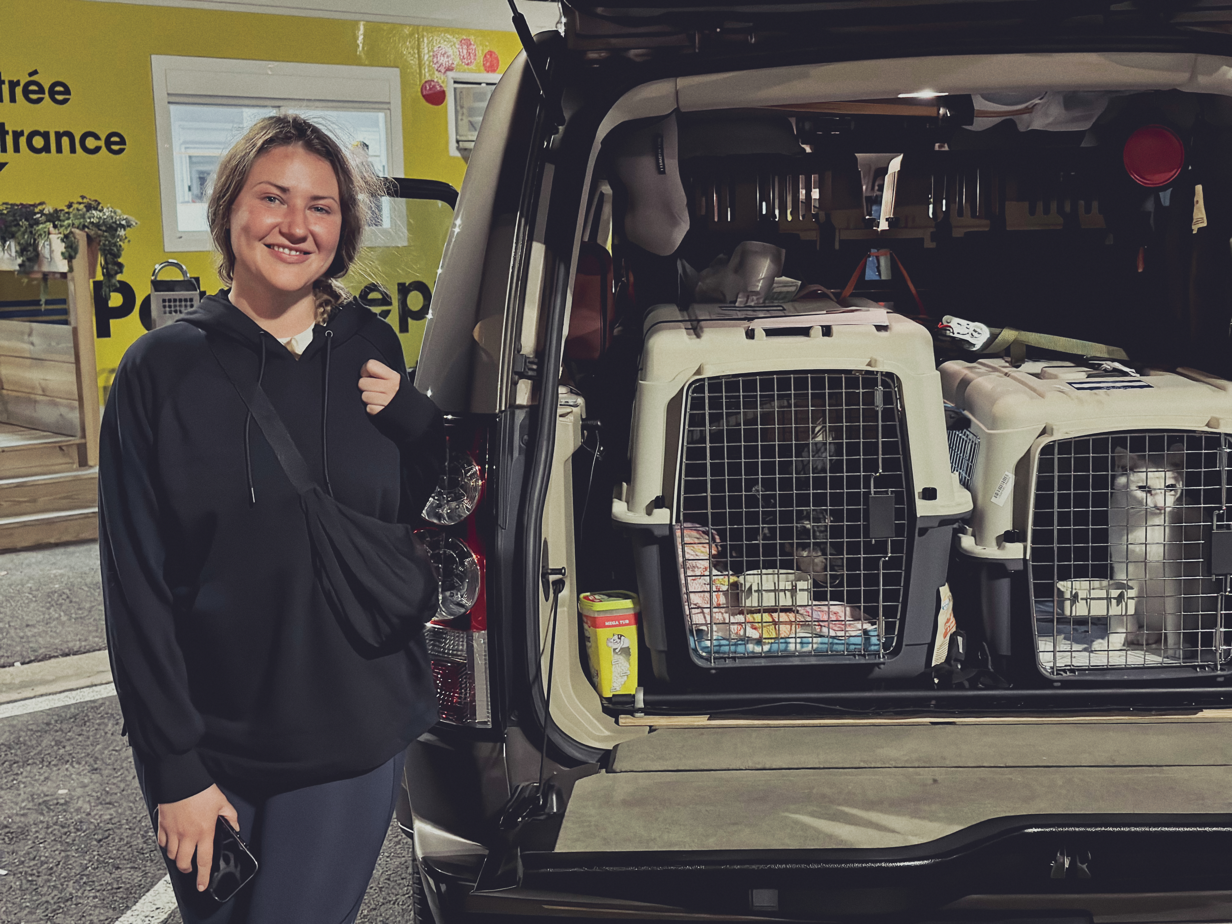 EN| Why Passenger Transport is the Only Safe Choice for Your Pets: Cats and Dogs Travel Safely with Us