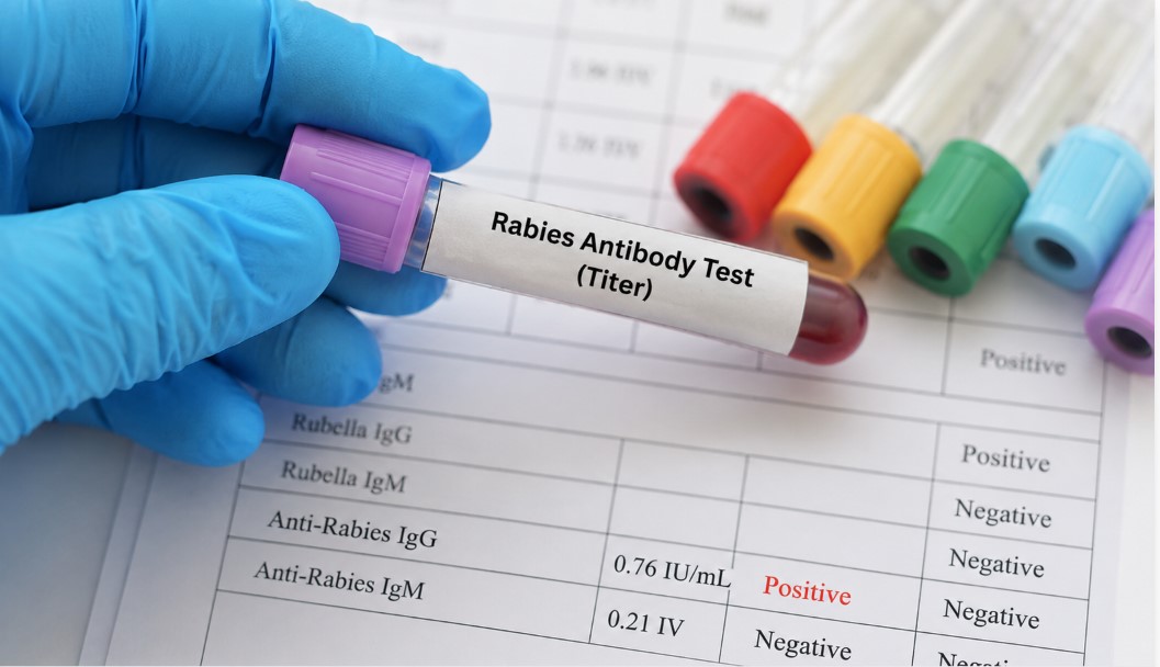 USA Pet Travel Update 2026: CDC Changes Approved Rabies Titre Laboratories