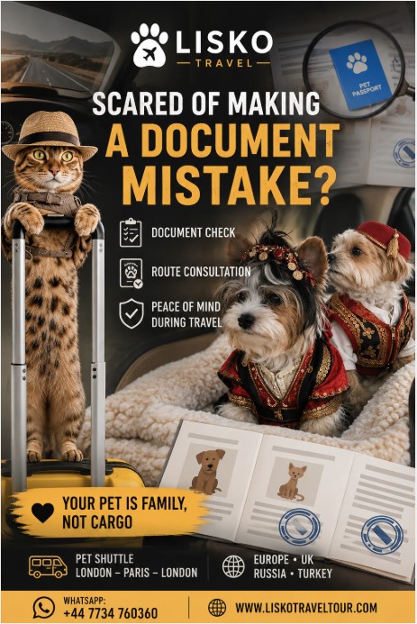 Before travelling with a pet to the UK, people are not afraid of the journey