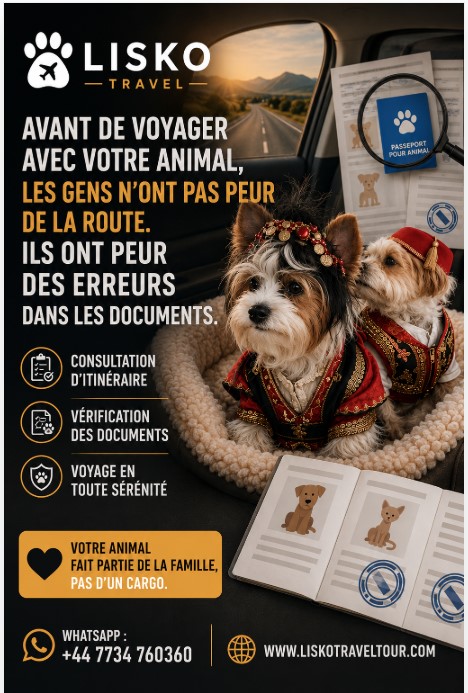 Avant de voyager avec un animal vers le Royaume-Uni, les gens n’ont pas peur du trajet