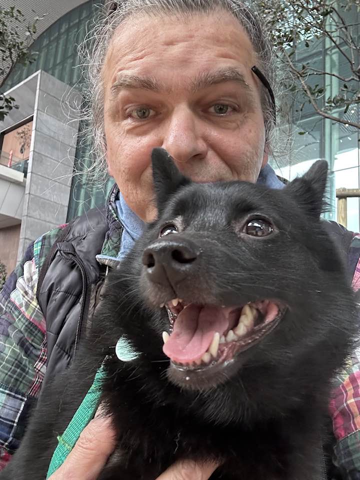 A Journey Where the Tail Doesn’t Tremble: Pet Transport & Pet Relocation