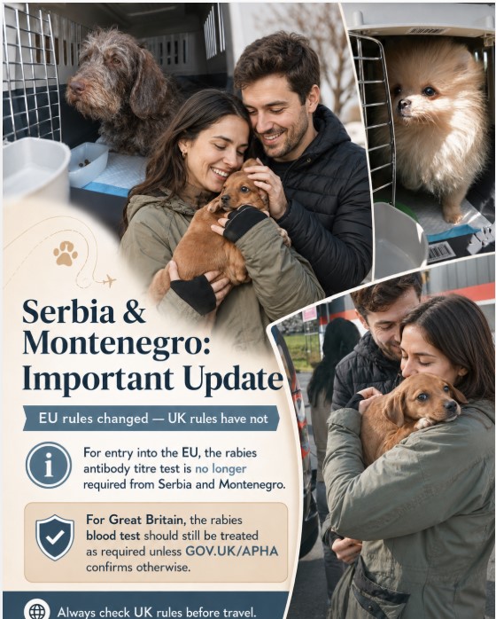 Serbia, Montenegro and pet travel to Great Britain: an important clarification