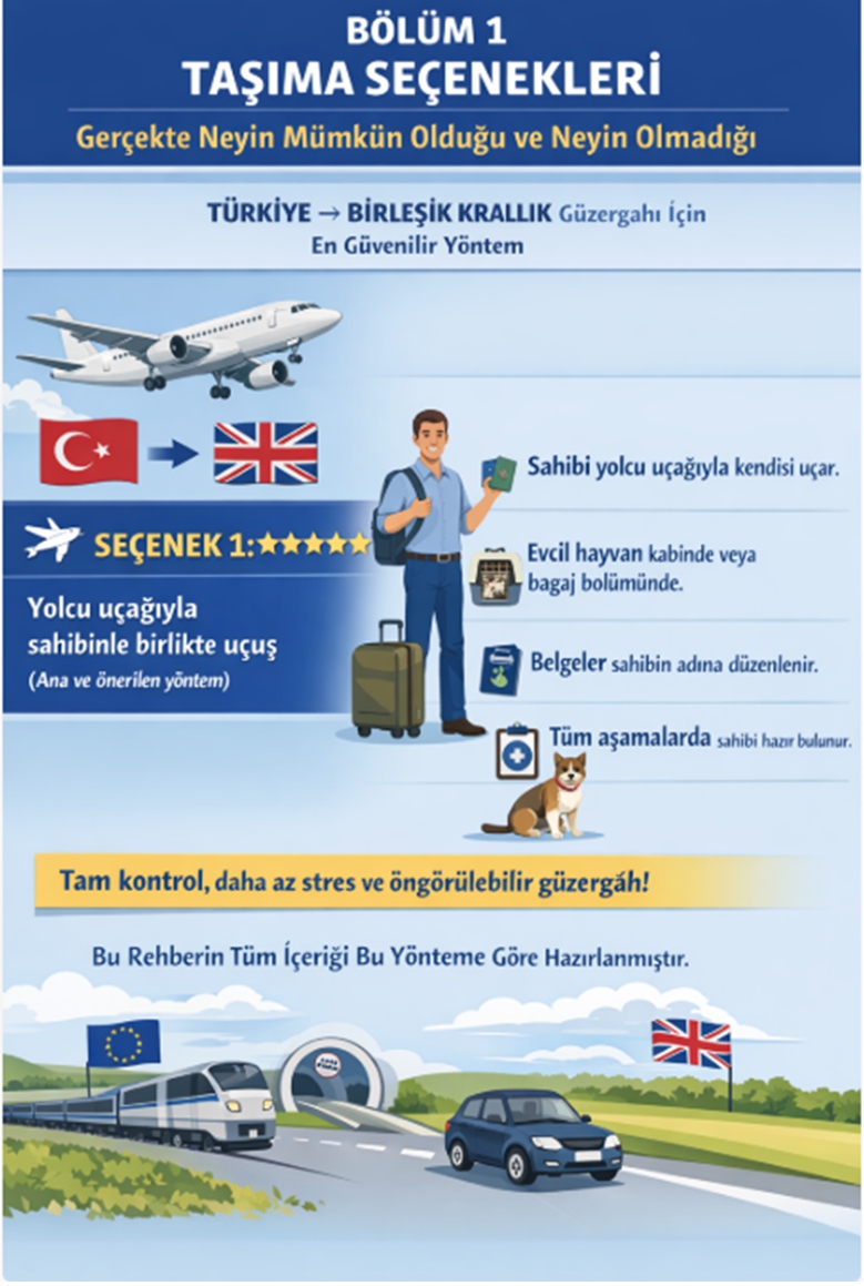 Pet Transport from Turkey to the United Kingdom – Rules and Documents